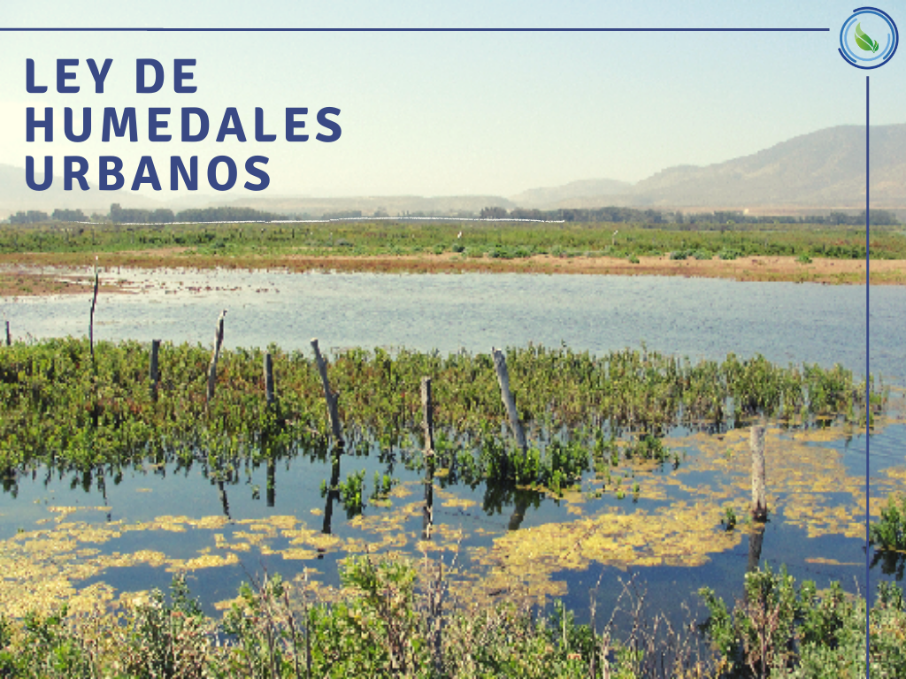 Entró en vigencia la Ley de Humedales Urbanos