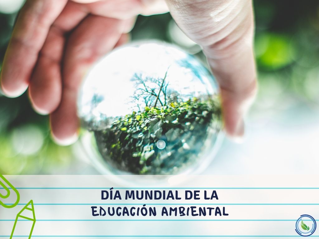  Día Mundial de la Educación Ambiental 