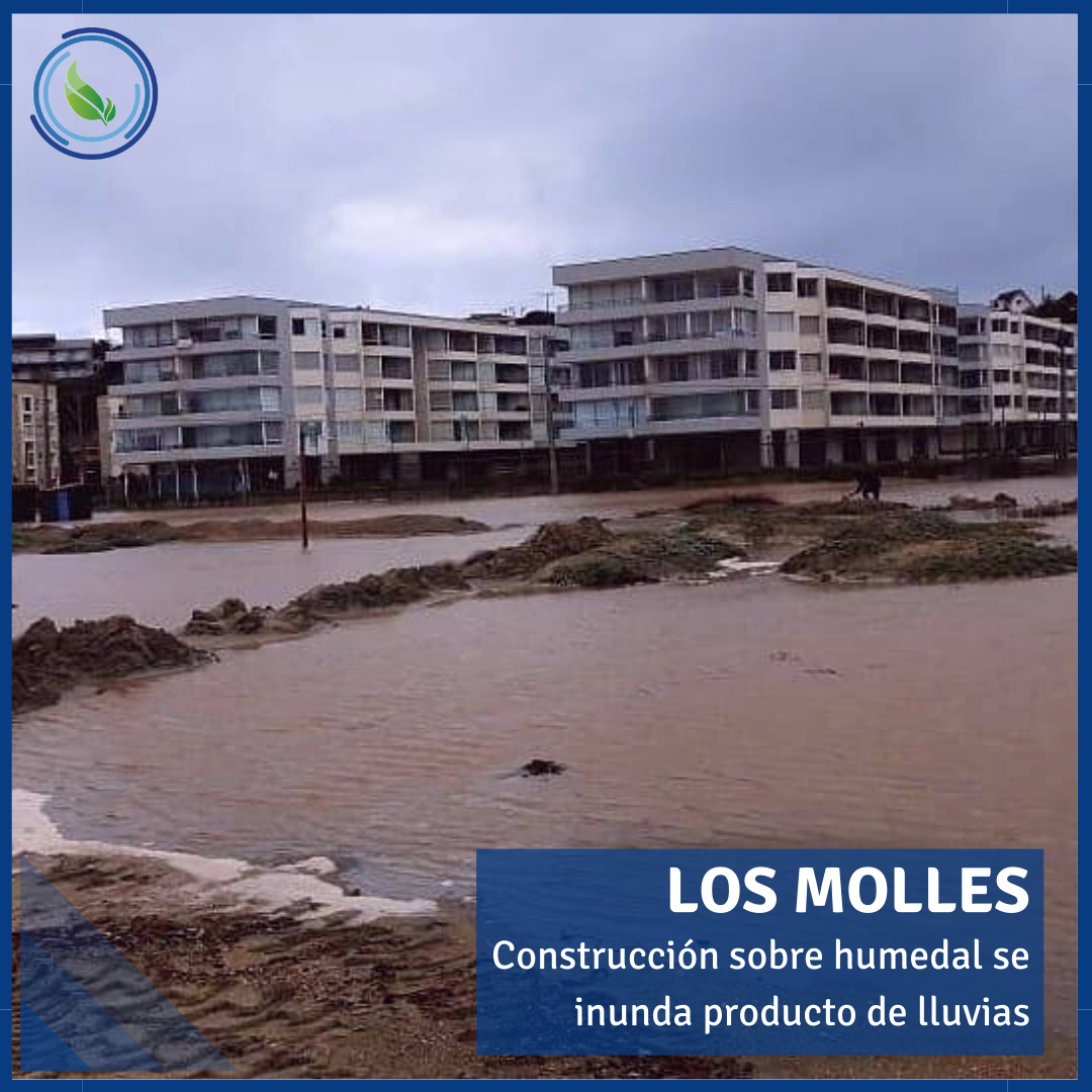 Construcción en humedal se inunda producto de fuertes lluvias