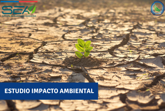  Estudio de Impacto Ambiental 
