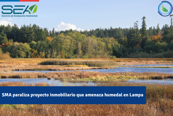 Día Mundial de los Humedales